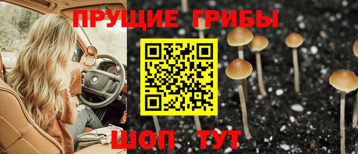 дарнет шоп  Псилоцибиновые грибы прущие грибы  Вход с VPN  Тула 